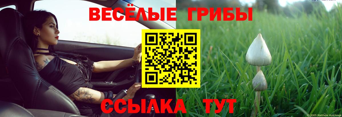 Химки  Марихуана  Меф МЯУ МЯУ кристаллы  Вход с VPN  МЕТ  КОКАИН  ГАШ  Alpha PVP СОЛЬ кристаллы  КОКАИН 
